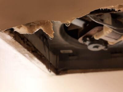 Professional ceiling water damage repair services in Emerson - water damage cleanup